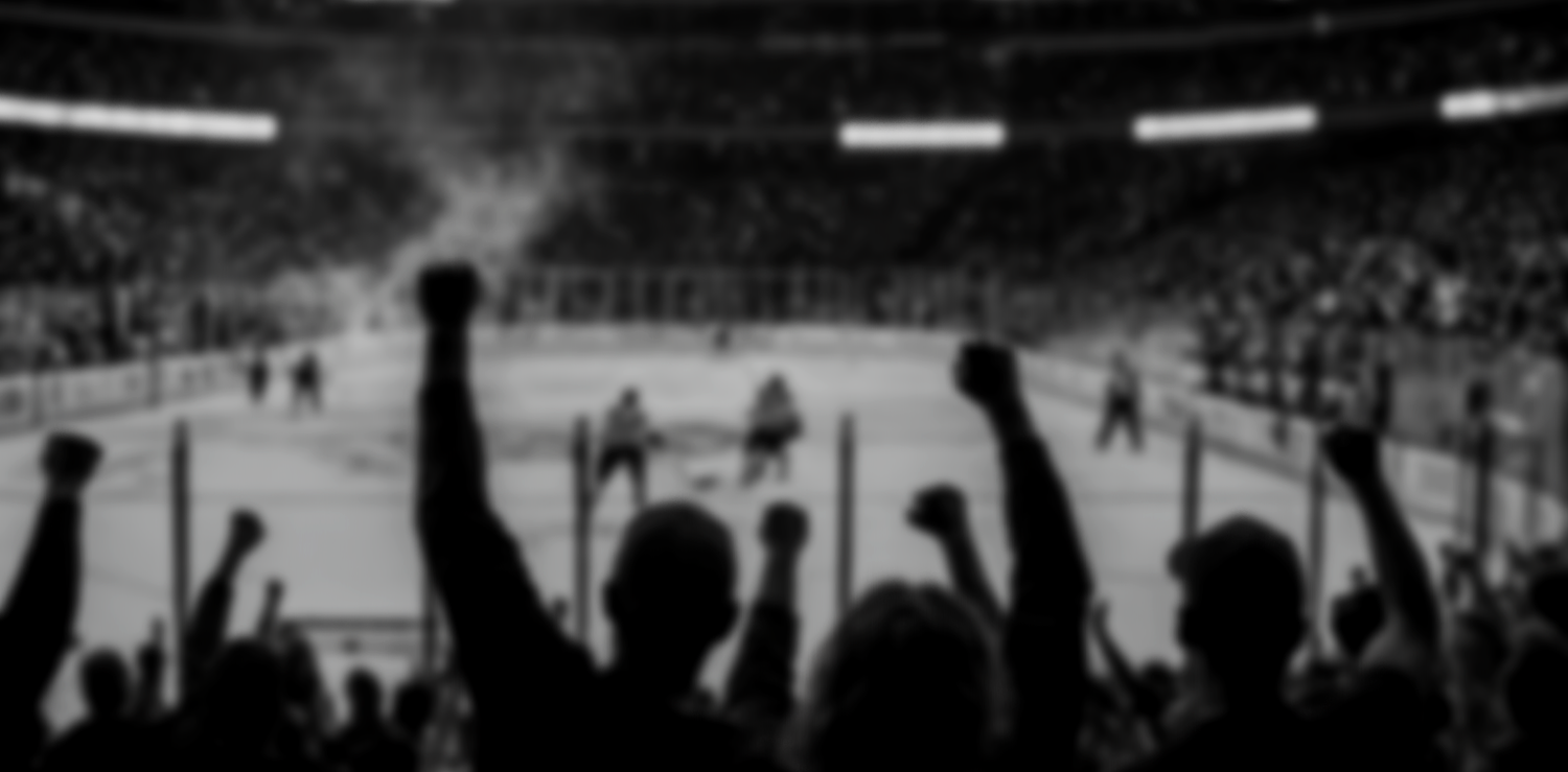 Fans cheering on a hockey team in an arena